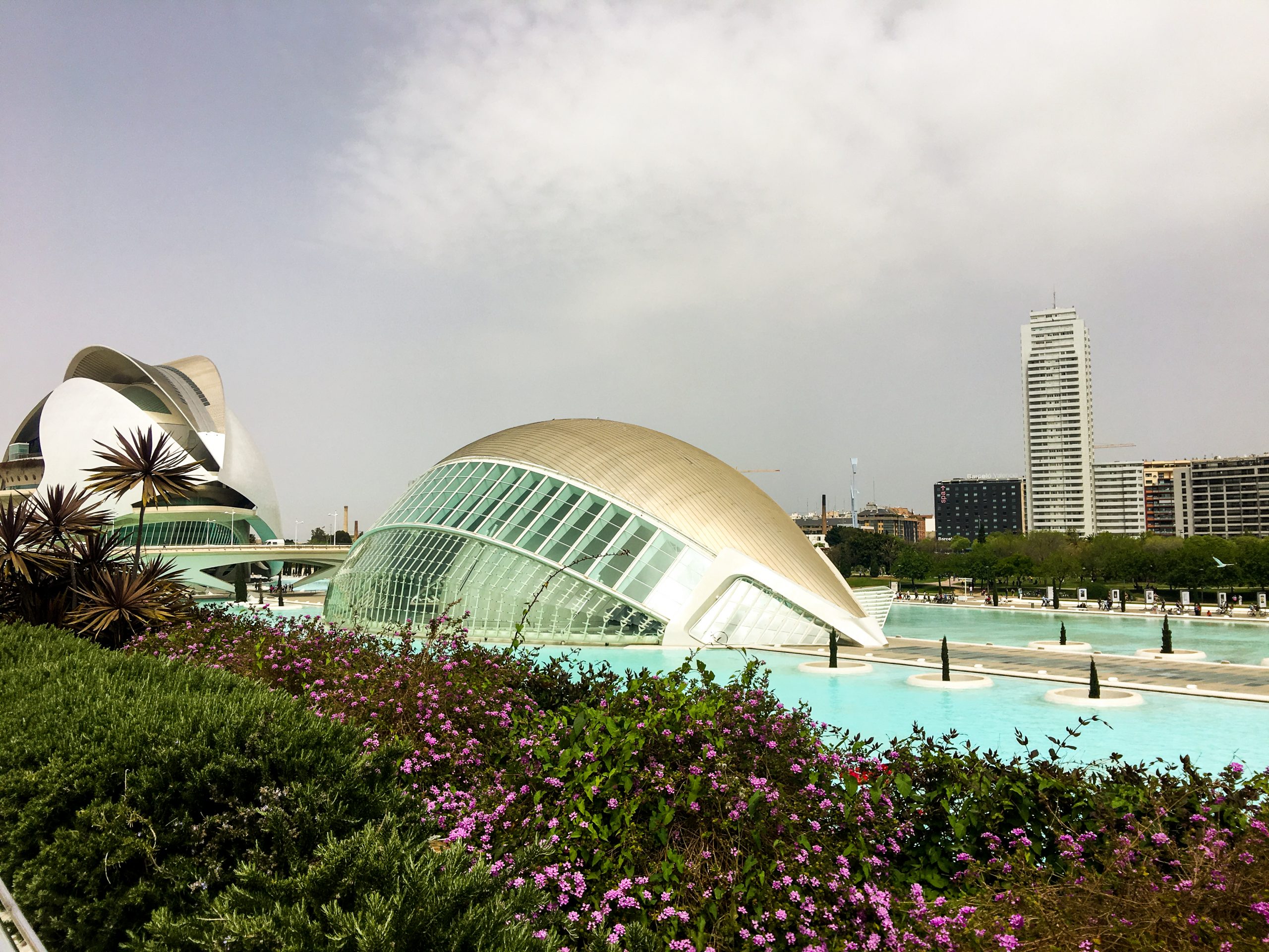 city of arts and sciences