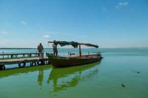 Albufera Private Tour